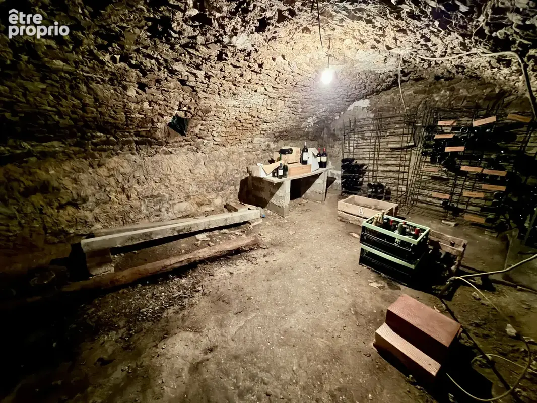 Argentières  Maison de caractère du XVIIIᵉ siècle avec piscine sur terrain arboré de 1 450 m2 - photo 10
