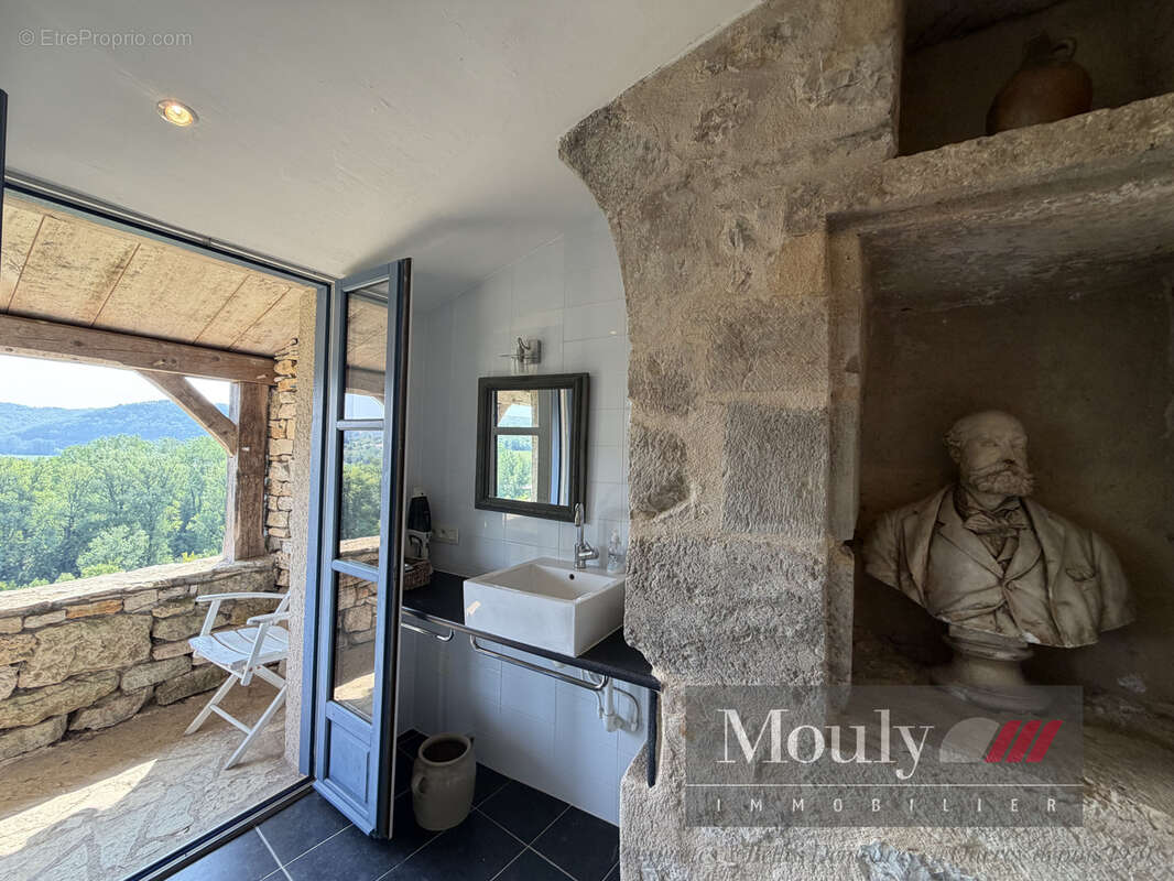 Chateau  avec vue exceptionnelle sur le lot - photo 29
