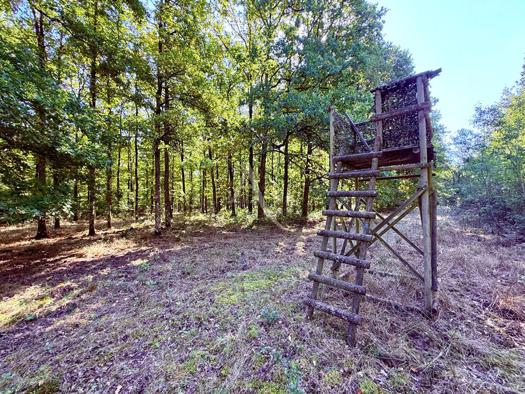 Terrain à LA FERTE-SAINT-AUBIN