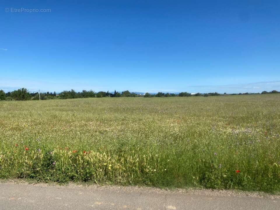 Terrain à BESSAN
