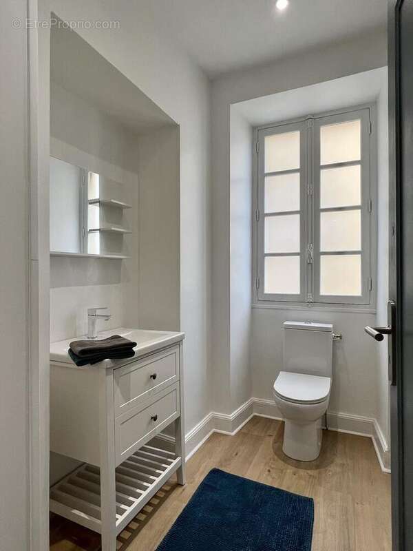 IMG2460 - Appartement à SAINT-CYPRIEN