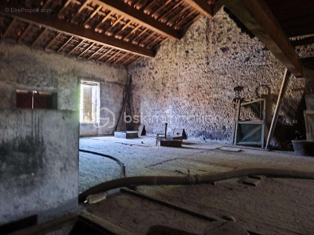 cave vinicole - photo 7