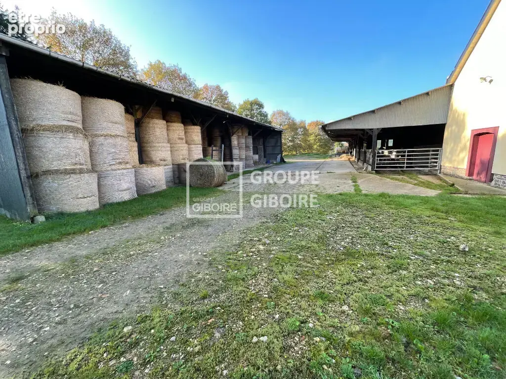 A VENDRE - Agence GIBOIRE PACE - Longère de 130 m² environ avec plusieurs dépendances à Saint Gilles étang de la motte - photo 5