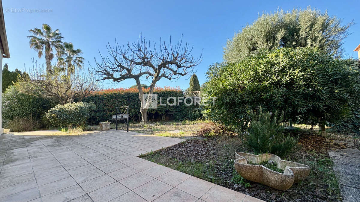 Maison à CASTELNAU-LE-LEZ