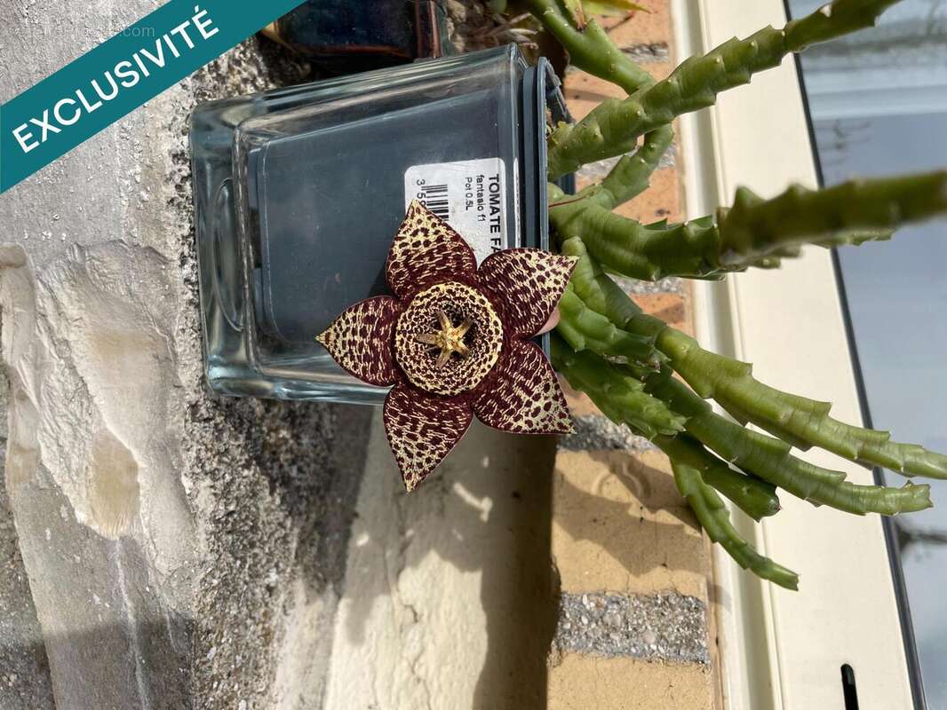 Photo 7 - Maison à SAINT-GERMAIN-LES-ARPAJON