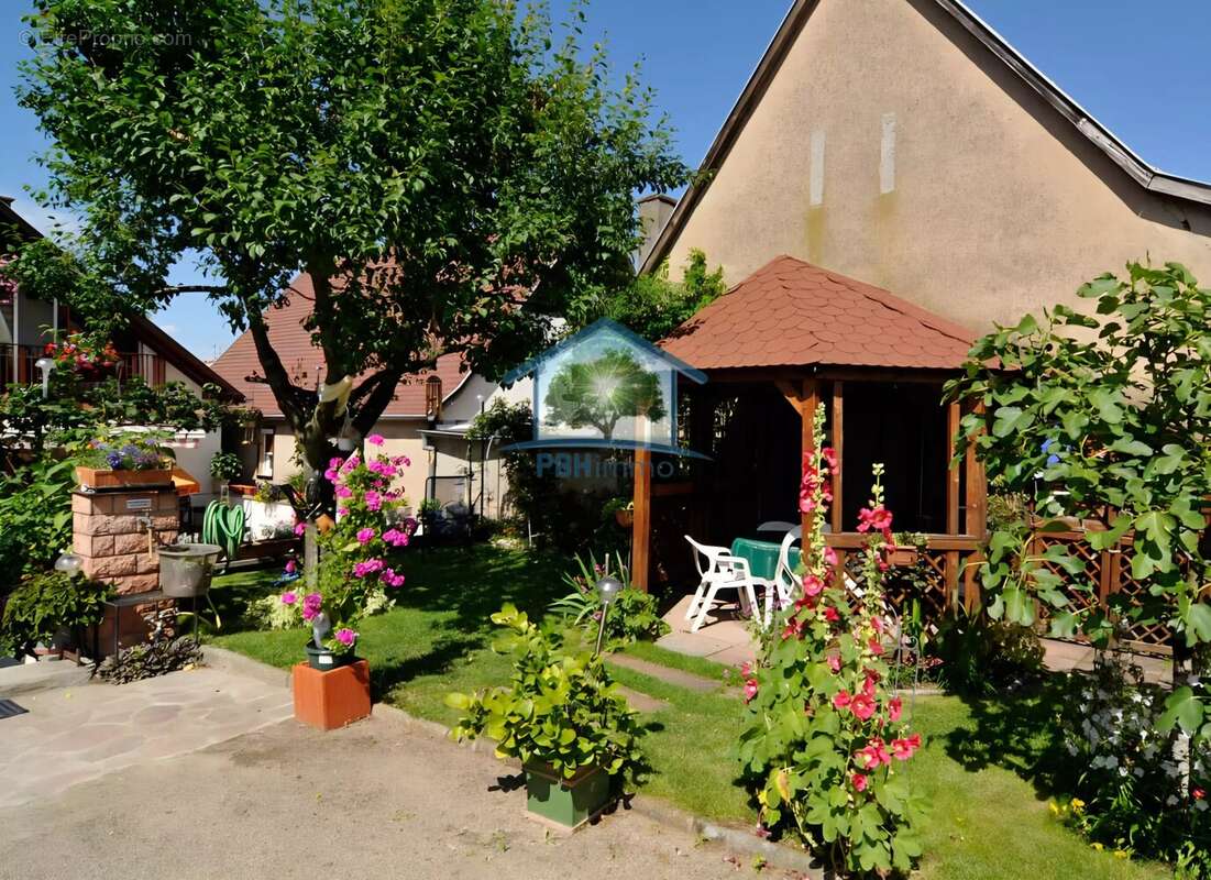 Maison à AMMERSCHWIHR