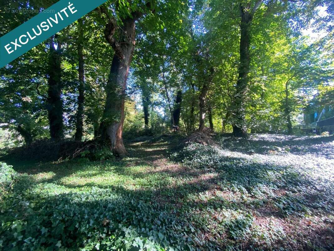 Photo 3 - Maison à LAPALISSE