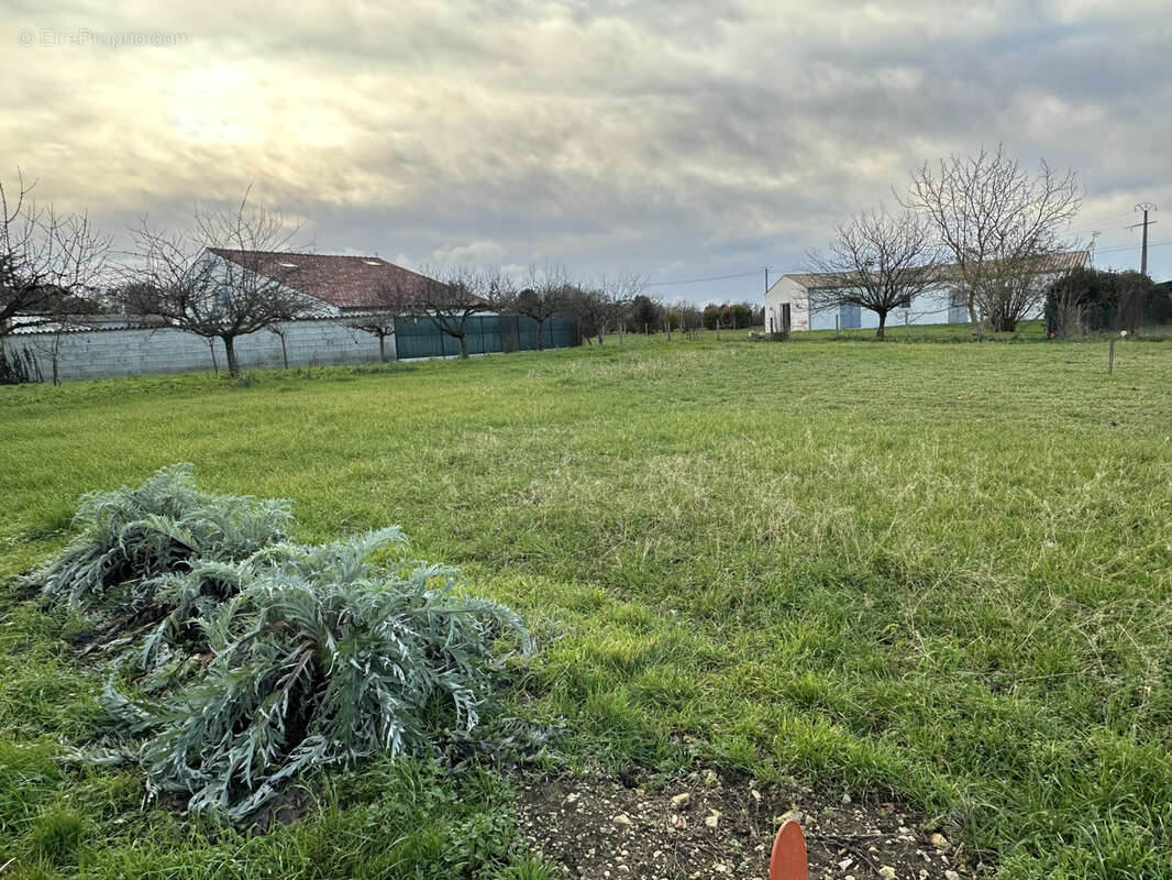 Terrain à BERCLOUX