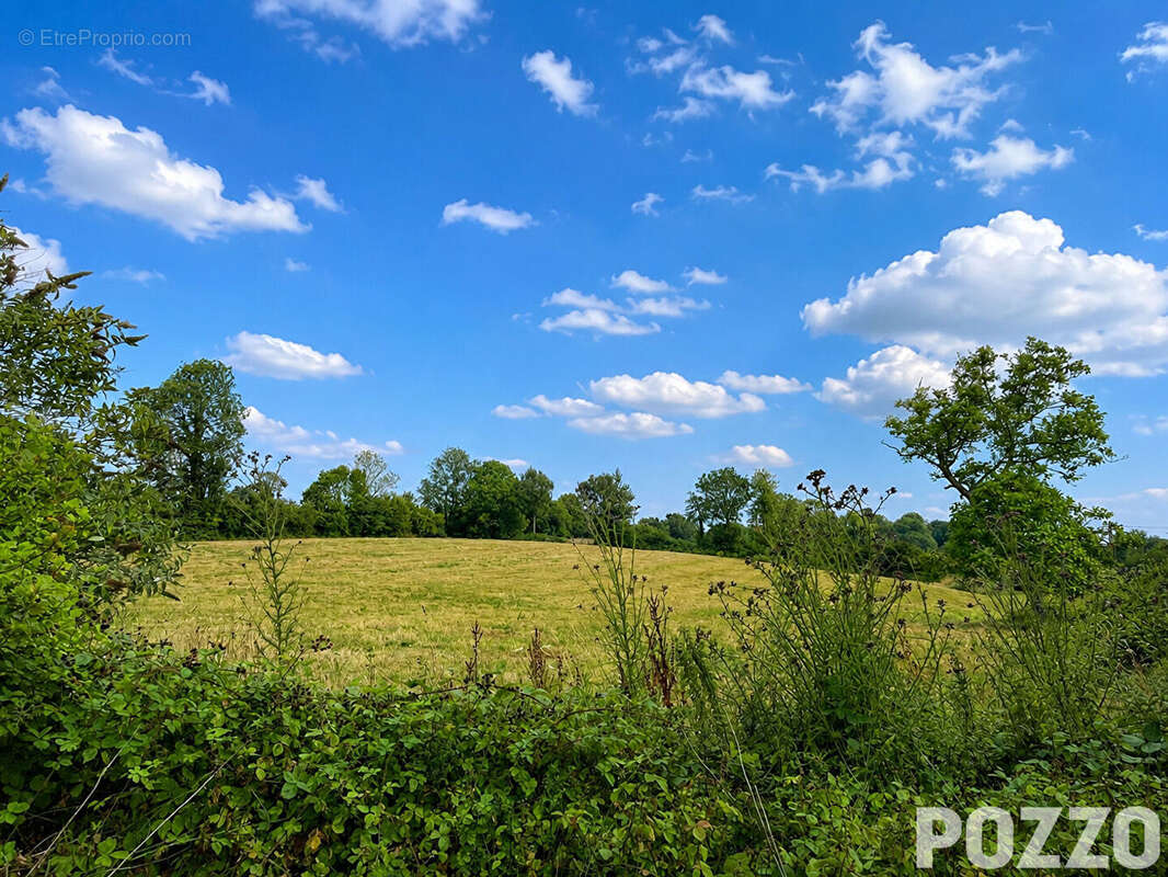 EXCLUSIVITÉ : Charmante maison en pierre à Saint-Sauveur-Villages avec beau terrain arboré et dépendances, 88.9 m2, 3ch. - photo 14