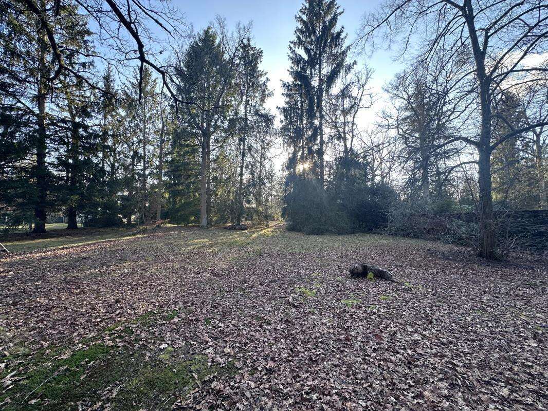 Terrain à LAMORLAYE