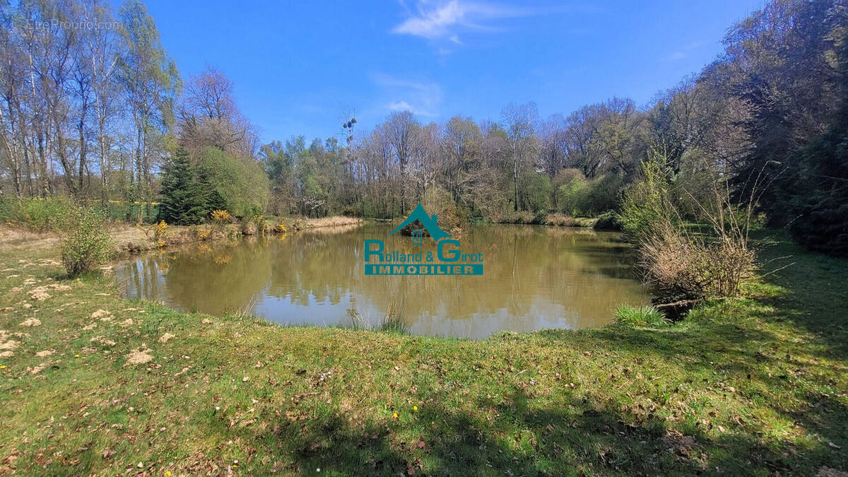 À vendre : Magnifique étang avec parcelle de lande à Sens de Bretagne - photo 2
