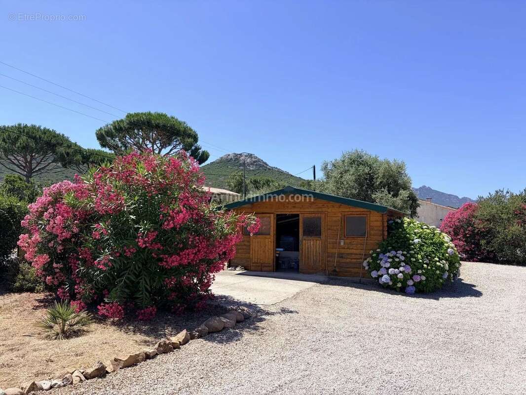 Vente Maison Calenzana(20214) 550 000ï¿œ - photo 2