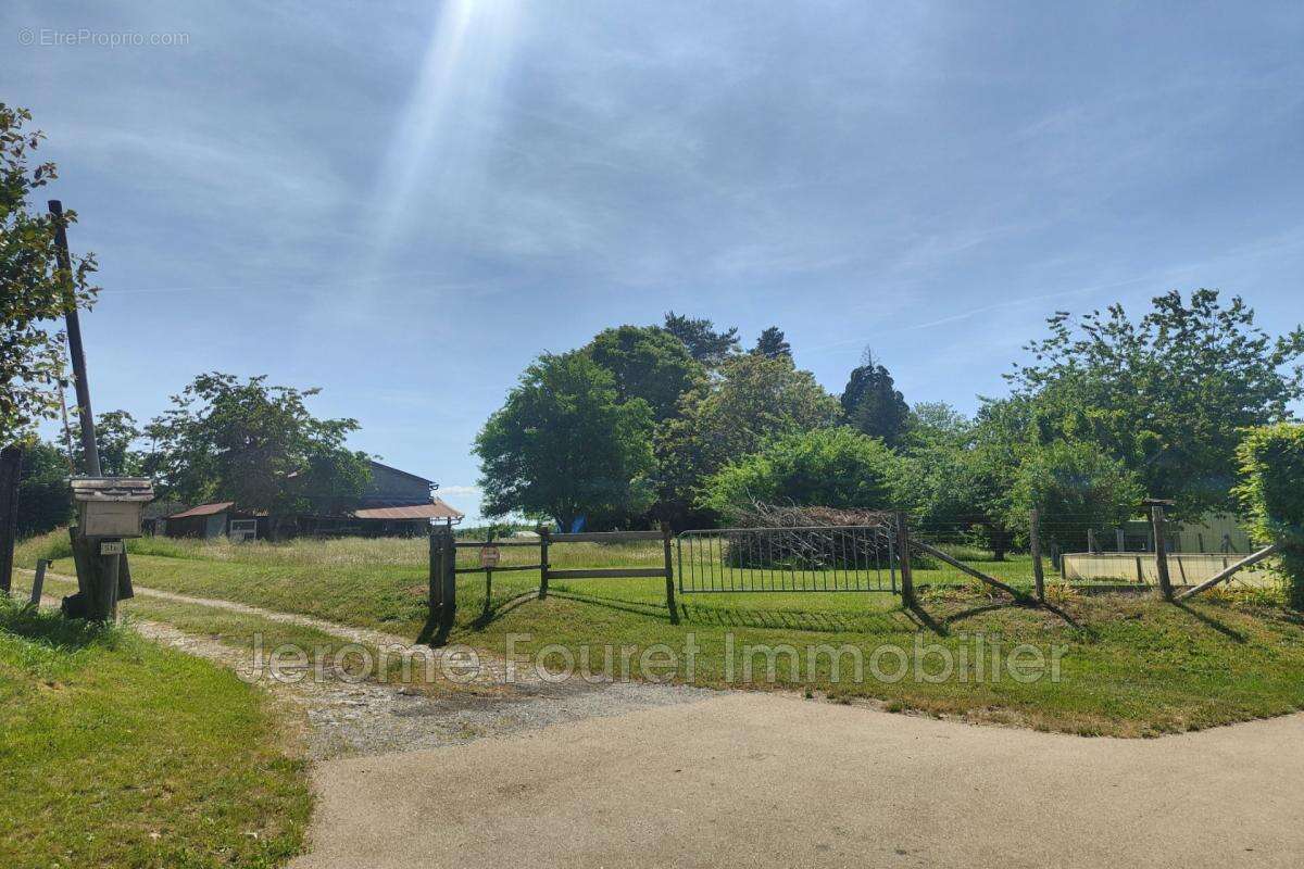 vente terrain - photo 6