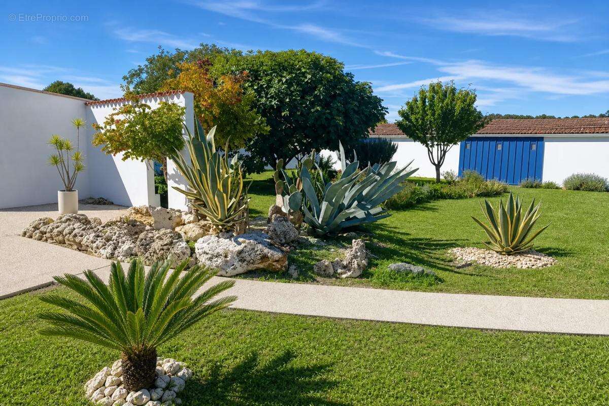Maison d'exception de 307 m² avec piscine - photo 14