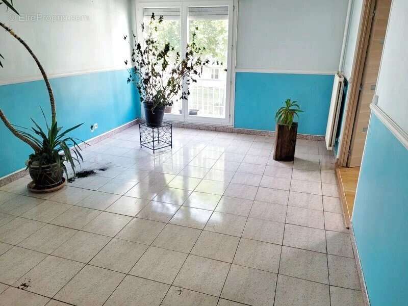 Appartement- parc de la hotoie - photo 3