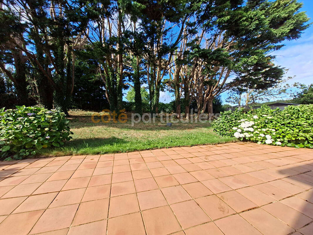 Cancale, Maison de type 5 au pied des plages, grand jardin. - photo 4
