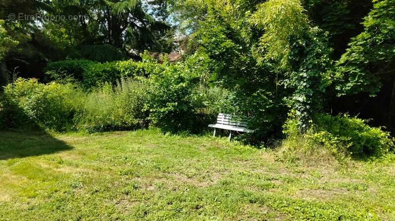 Terrain à SAINT-DIDIER-AU-MONT-D'OR