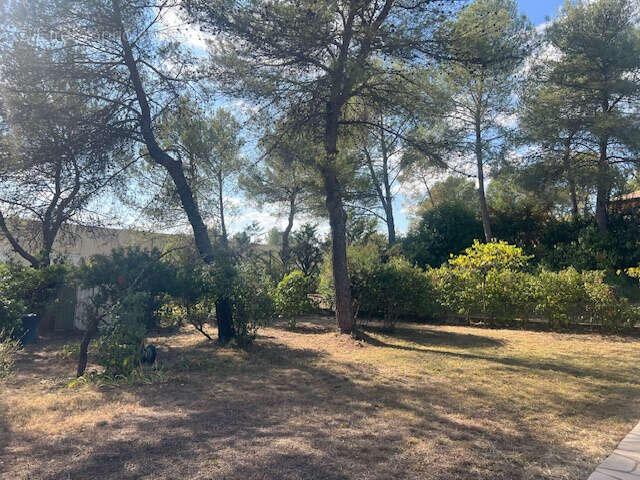 Terrain à SAINT-CLEMENT-DE-RIVIERE