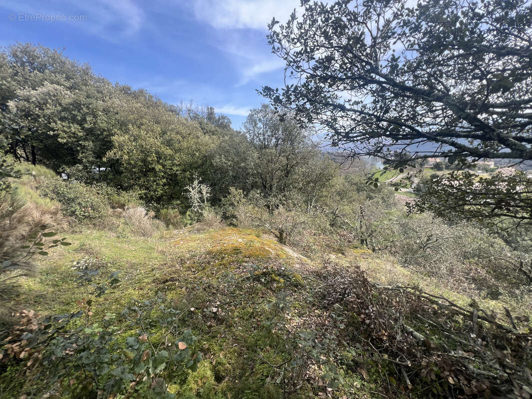 Terrain à SAINT-PERAY