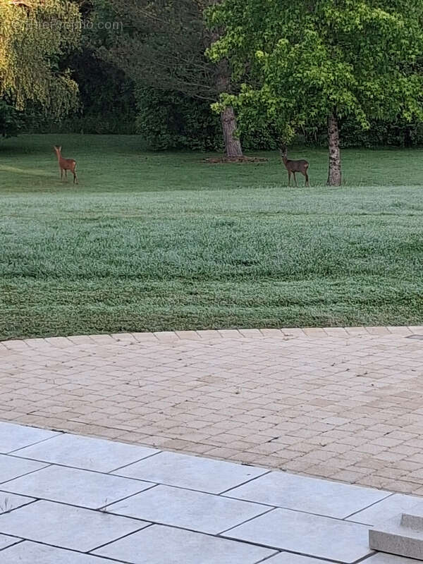 Belle propriété de 6.5ha avec deux étangs - photo 18