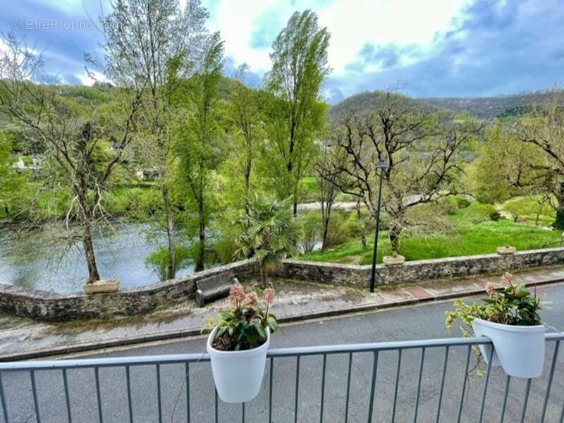 Maison à VIEILLEVIE