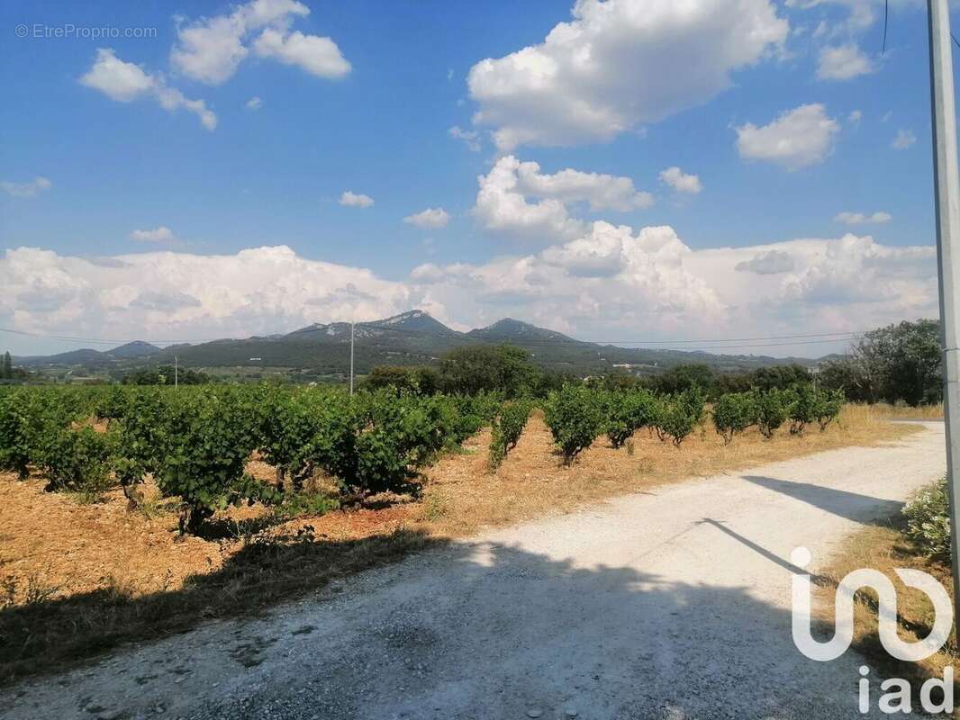 Photo 8 - Maison à SARRIANS