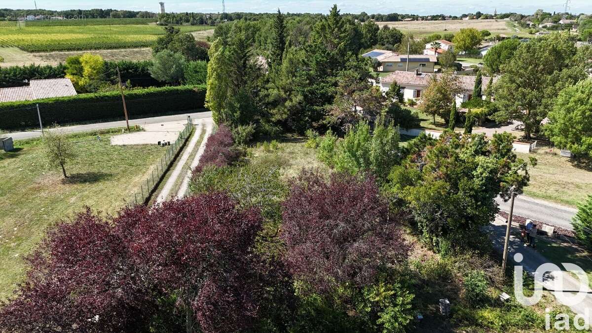 Photo 4 - Terrain à CAMPSAS