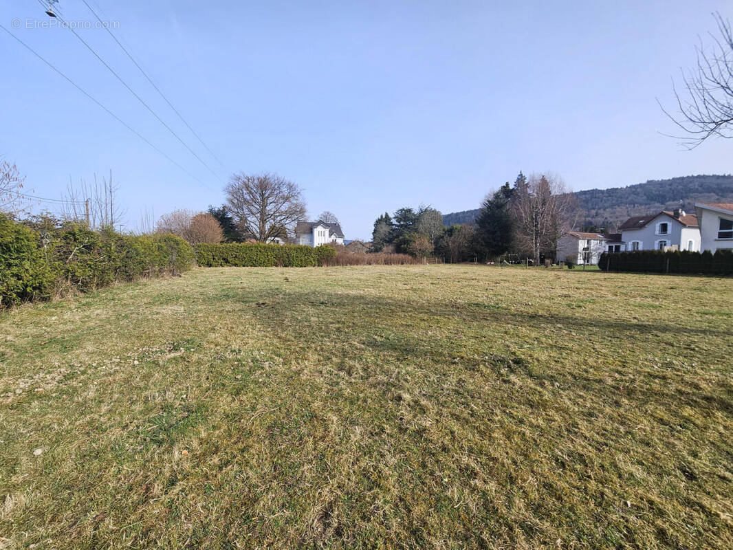 20260307_100744 - Terrain à VECOUX
