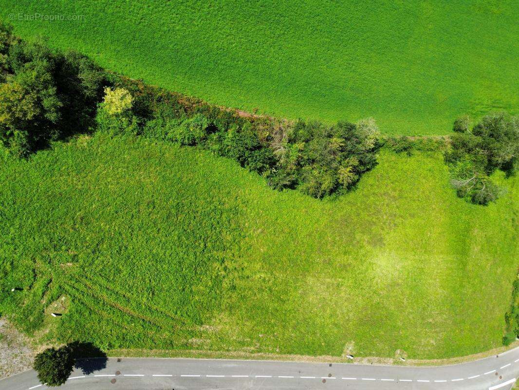 Terrain à SAUVETERRE-DE-BEARN