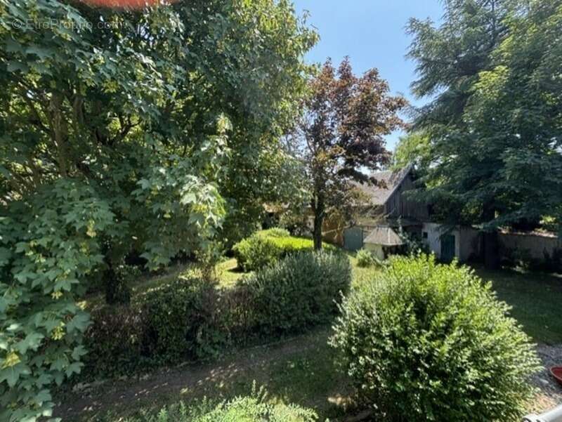 Un lieu de vie unique avec trois maisons aux possibilités infinies ! - photo 26