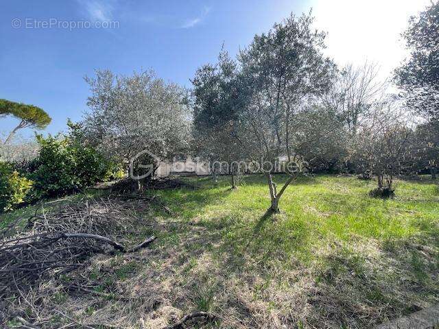 Terrain à VILLENEUVE