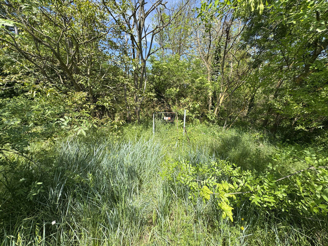 Villa de plain pied avec grand jardin - photo 17