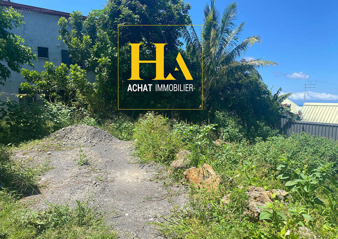 Terrain à SAINT-JOSEPH