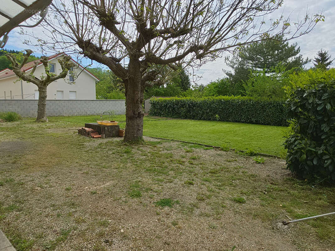 Maison à CHAMPIER