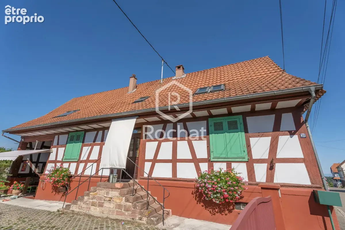 Viager occupé   authentique maison alsacienne de caractère   117,75 m2 habitables - photo 44