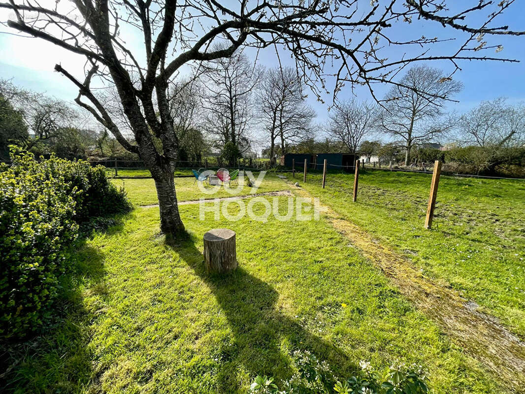 Vieux viel - exclusivite ! - photo 9