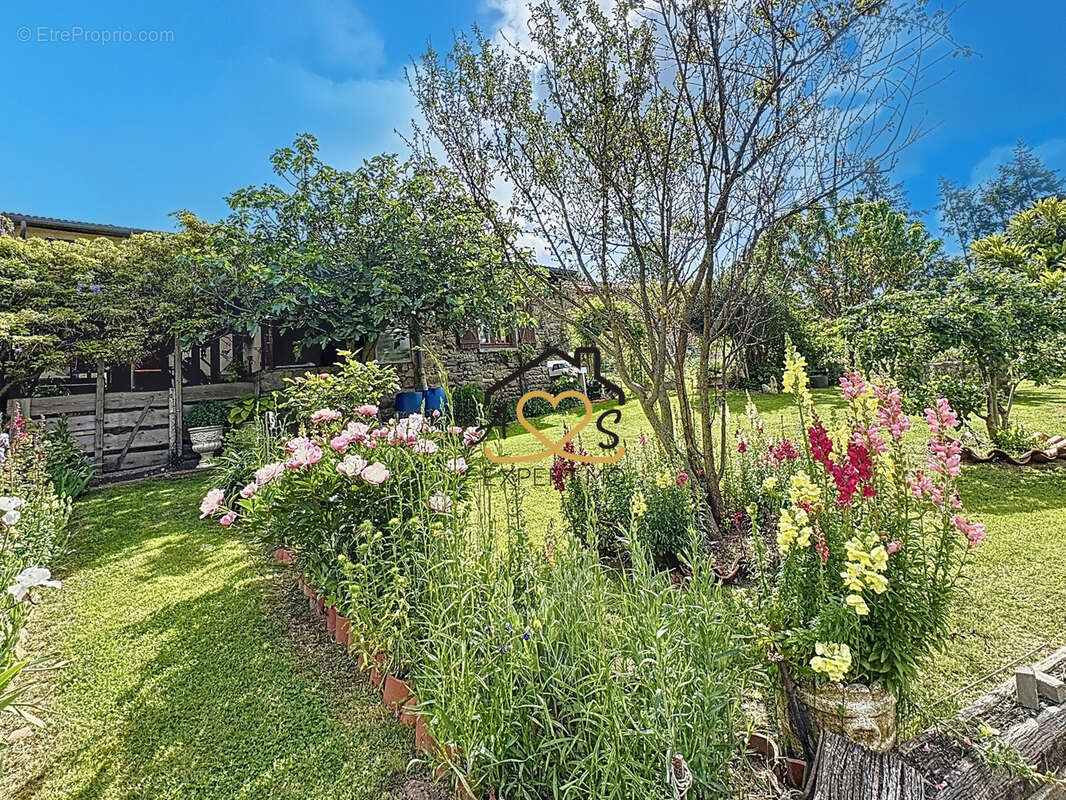 Maison à ISSERTEAUX