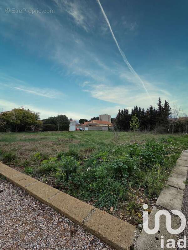 Photo 8 - Terrain à THUIR