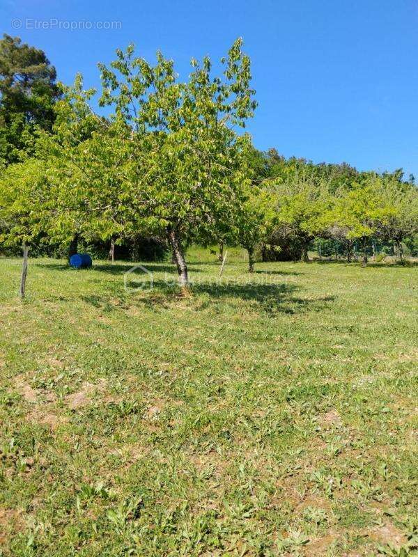 Maison familiale à fort potentiel - photo 13