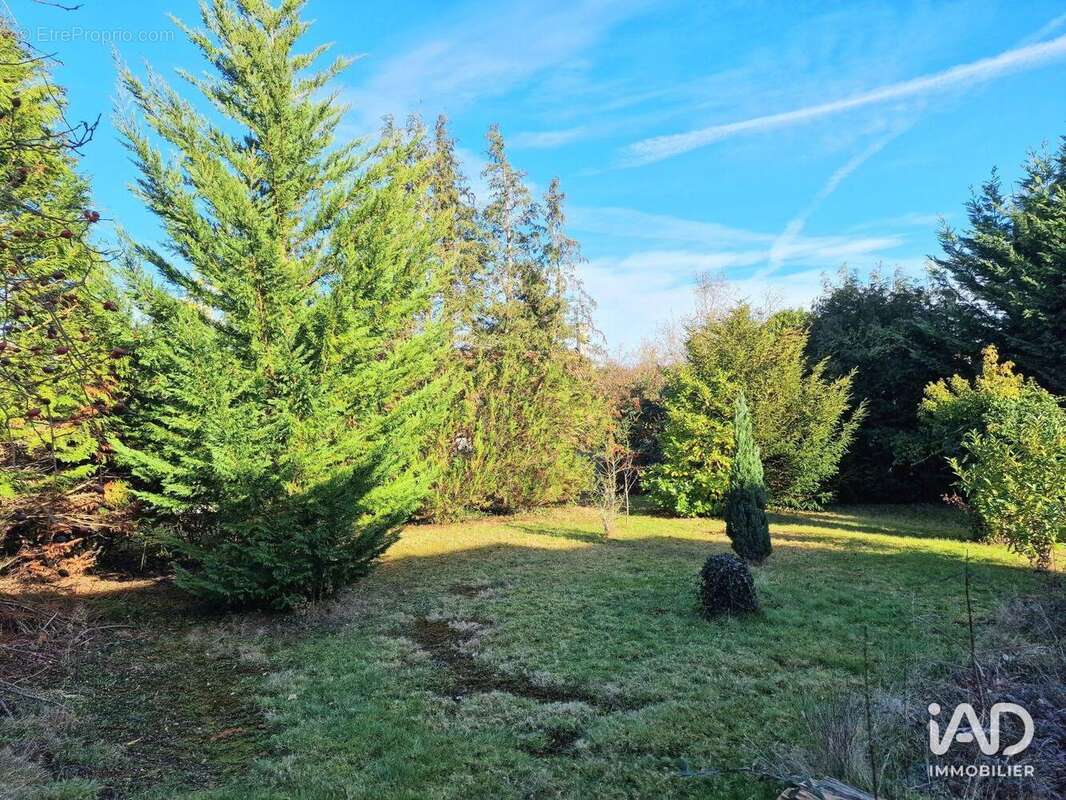 Photo 2 - Terrain à VILLEBON-SUR-YVETTE