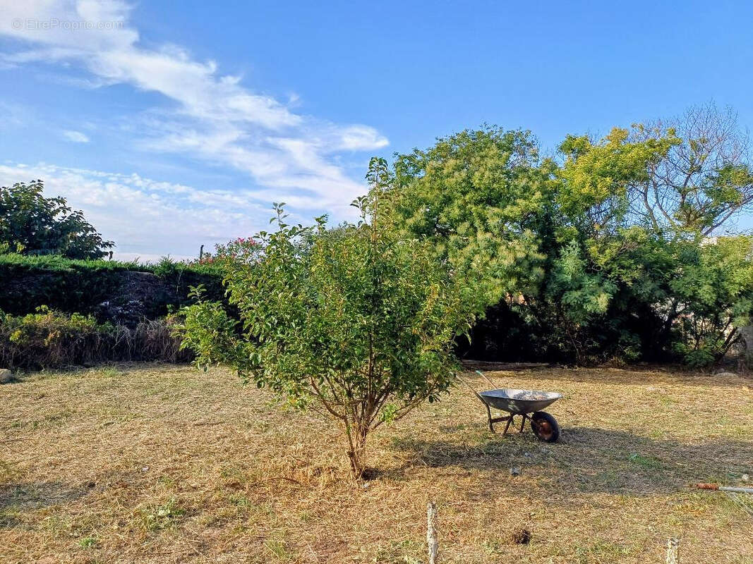 Rare terrain  constructible serignan - photo 2