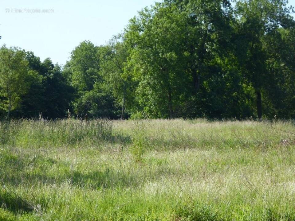 Terrain à BOIS-L'EVEQUE