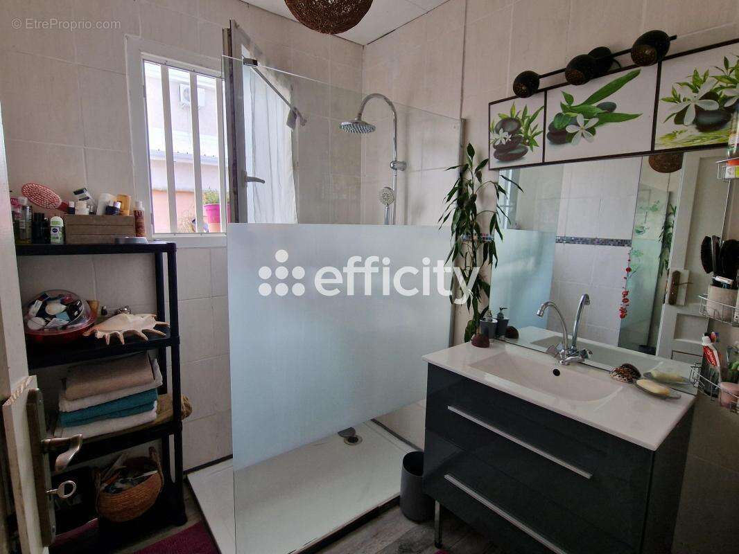 Maison à BRAS-PANON