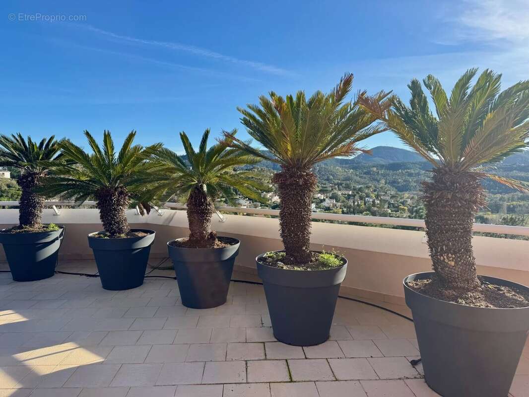 Appartement à MANDELIEU-LA-NAPOULE