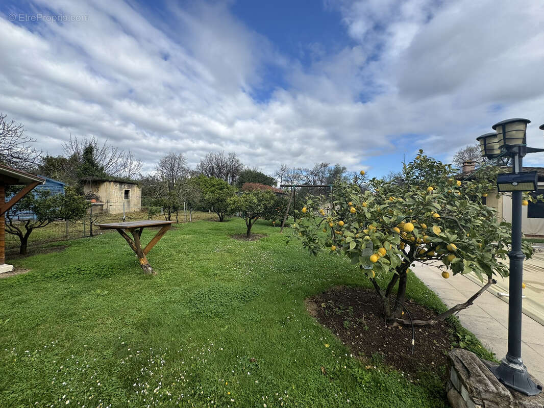 Maison à PRUNELLI-DI-FIUMORBO