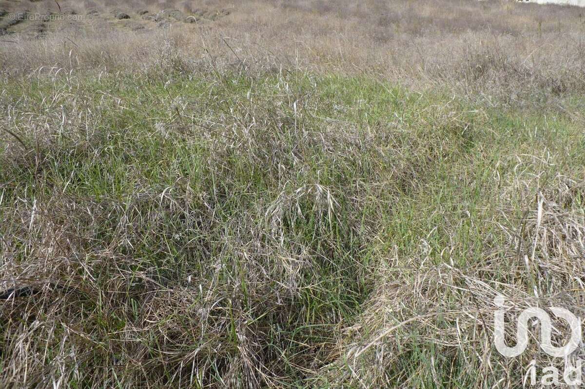 Photo 5 - Terrain à MANOSQUE