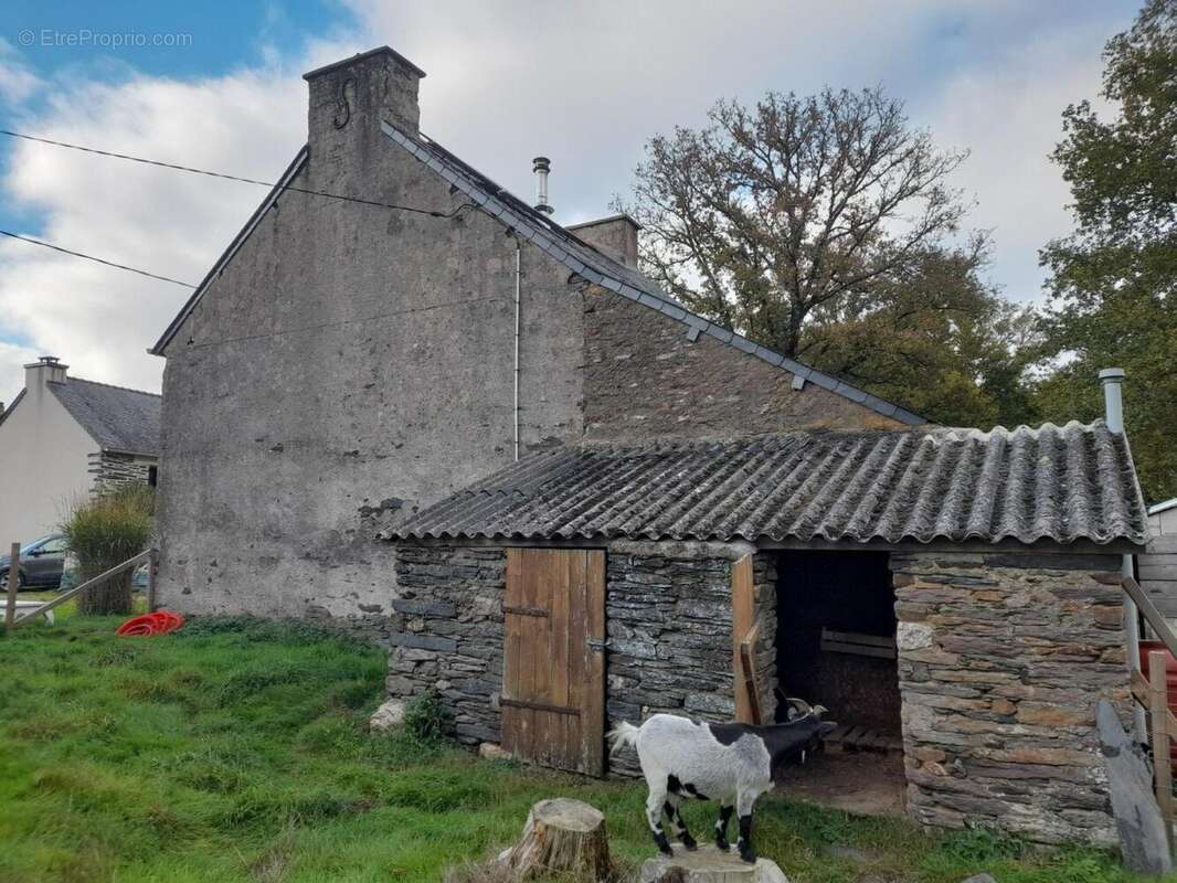 Photo 3 - Maison à SAINTE-MARIE