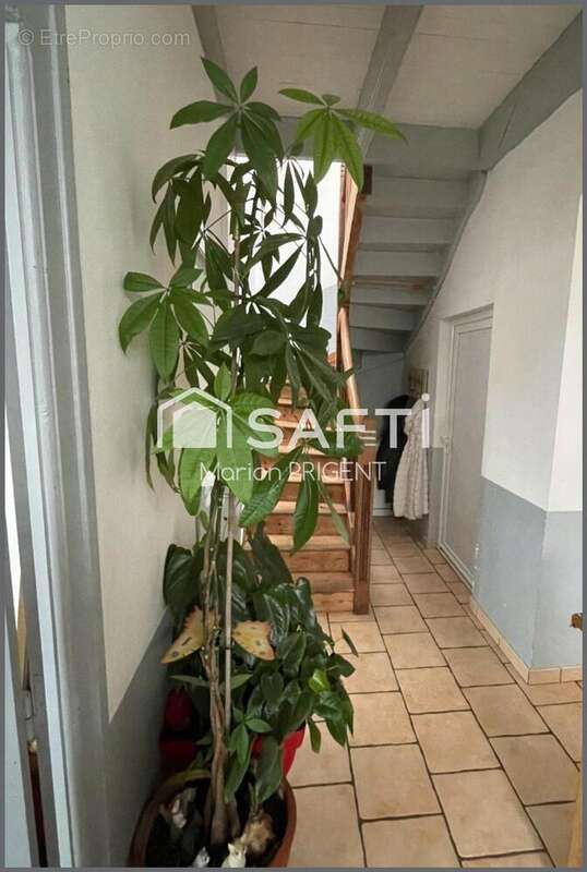 Photo 7 - Maison à ROSCOFF