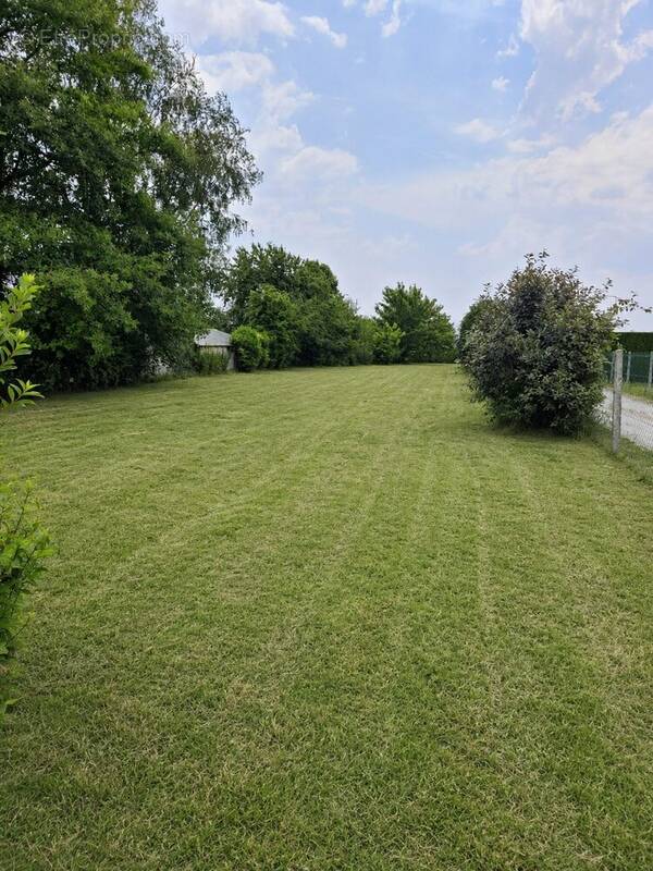 A vendre terrain à bâtir sur la commune de Crasville - Terrain à CRASVILLE