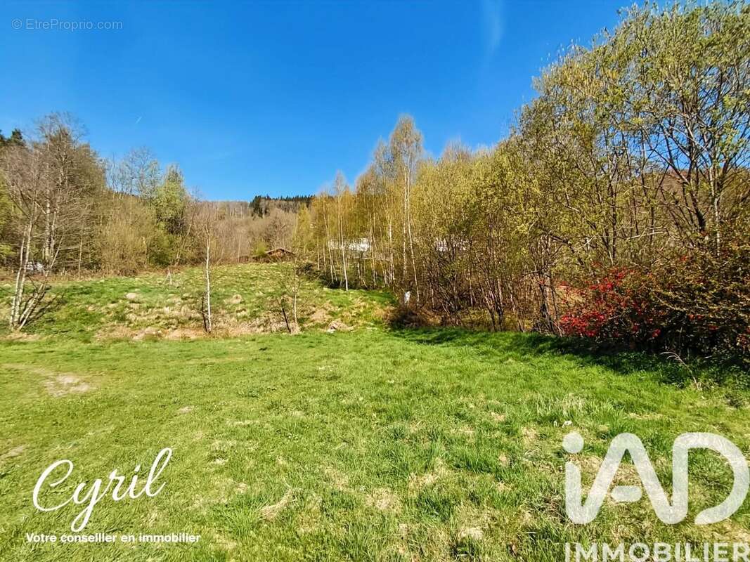Photo 2 - Terrain à CORNIMONT